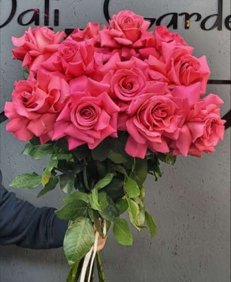 Роза розовая, французская, 70см. 11шт